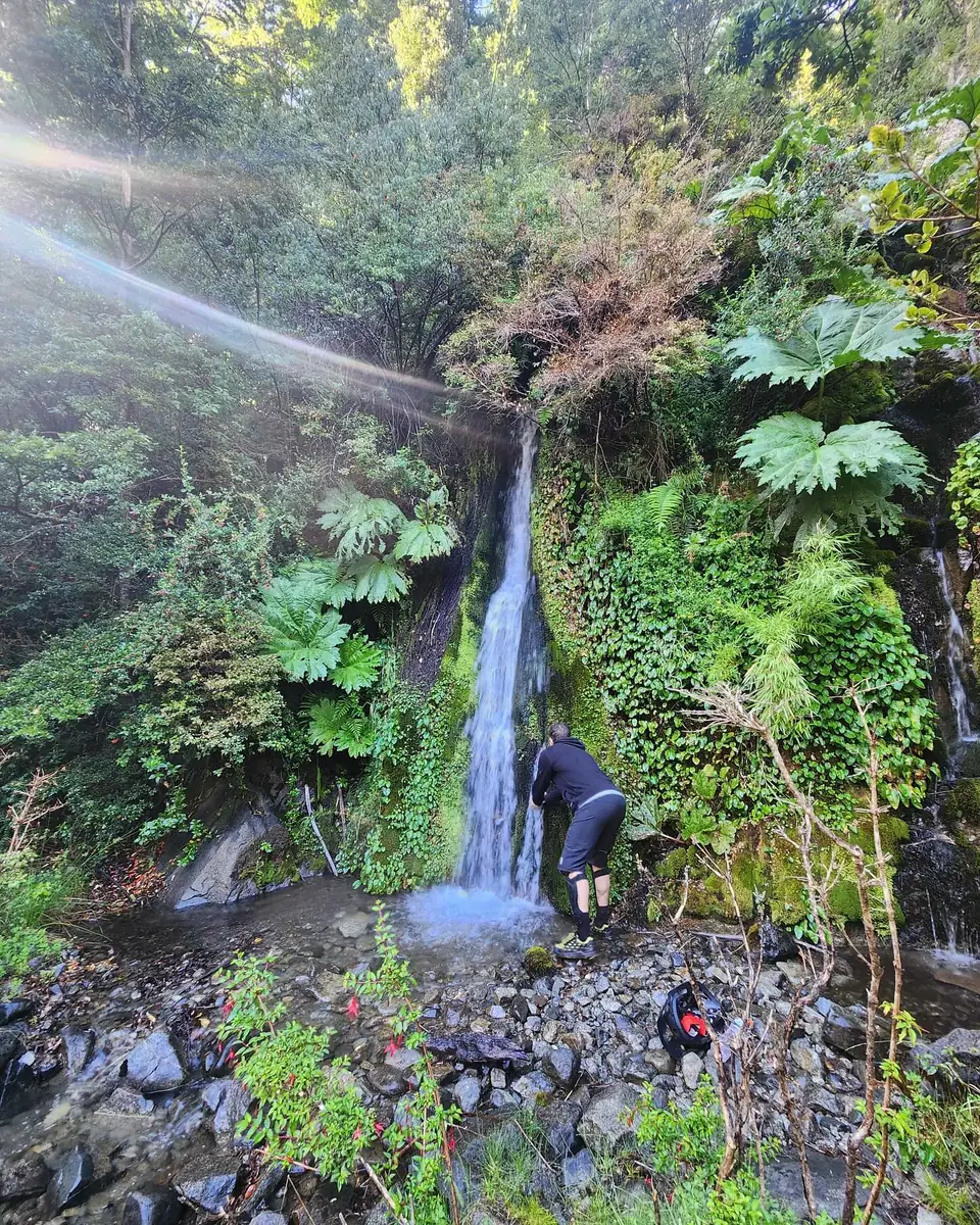 Renahue — Termas Río Blanco — Caburgua: foto de un viaje real (3)