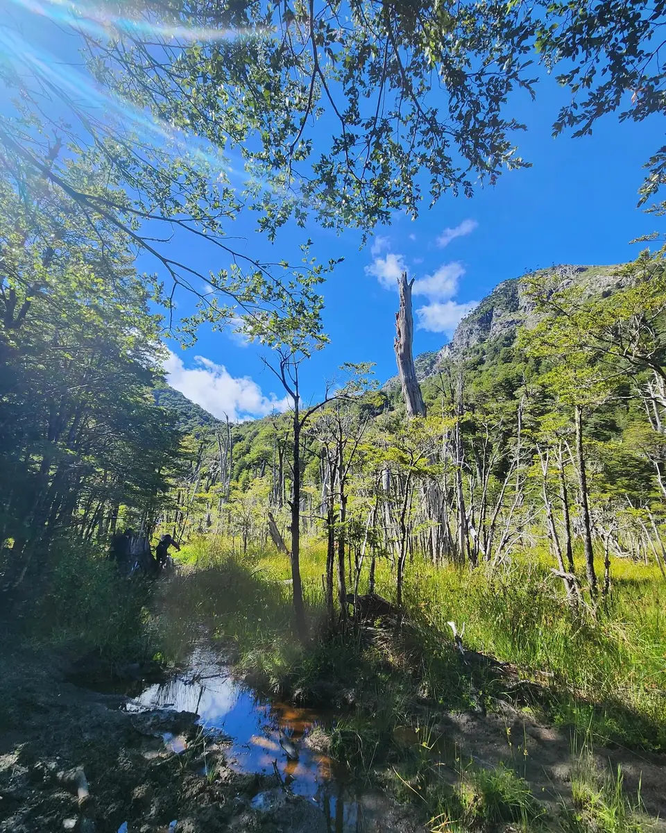 Renahue — Termas Río Blanco — Caburgua: foto de un viaje real (4)